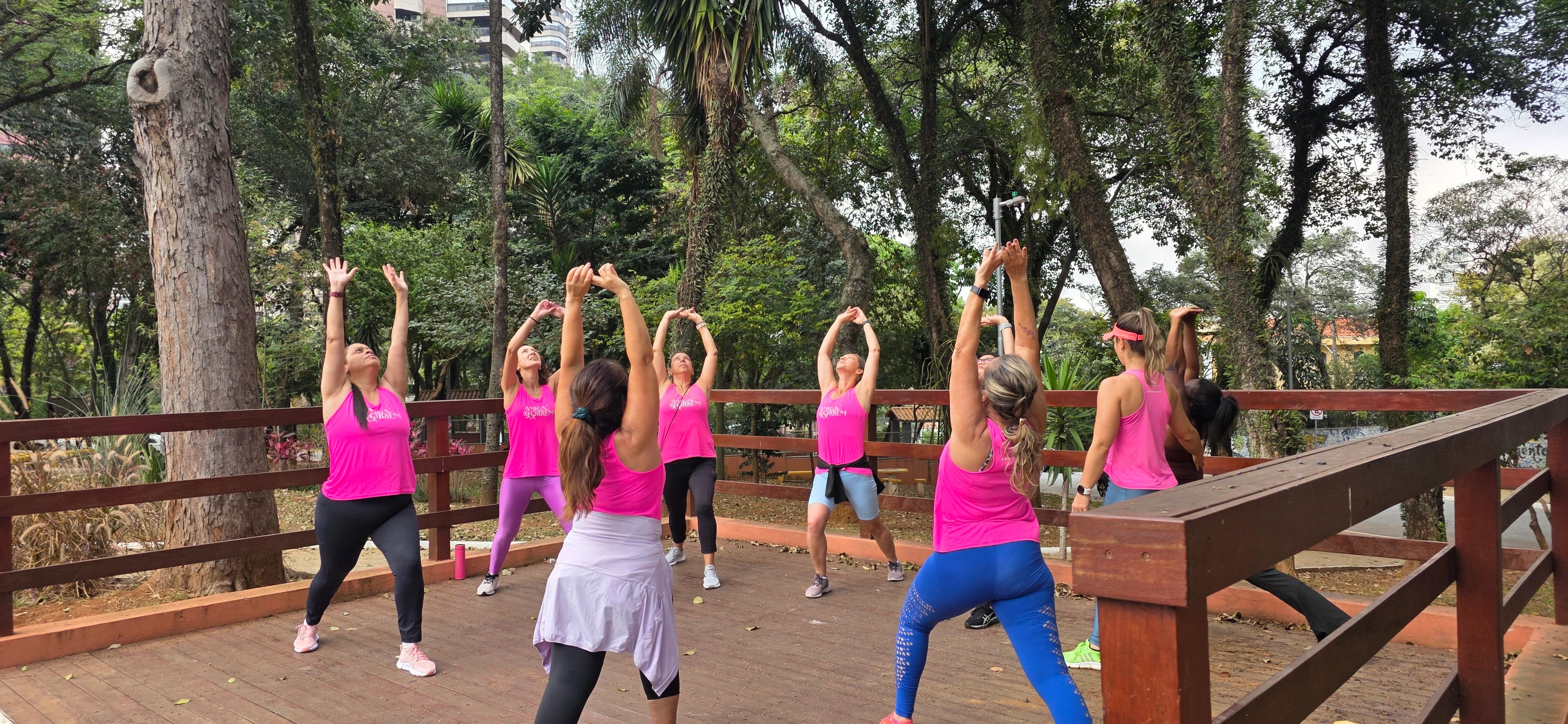 Grupo fazendo exercícios com os braços elevados e as pernas flexionadas em um parque